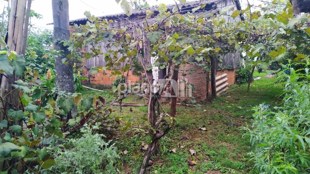 Venda de Terreno / Padrão na cidade de Gravataí