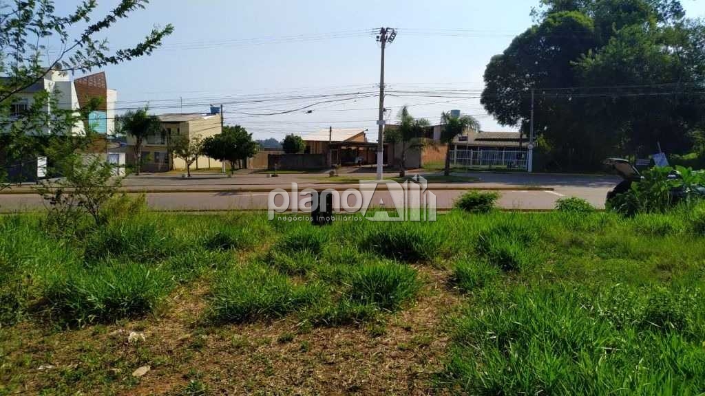 Locação de Terreno / Padrão na cidade de Gravataí - foto 5