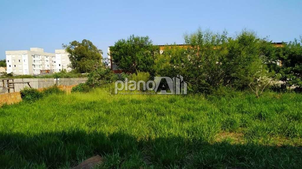 Locação de Terreno / Padrão na cidade de Gravataí - foto 7