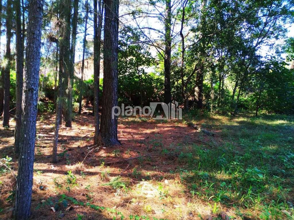 Locação de Terreno / Comercial na cidade de Gravataí