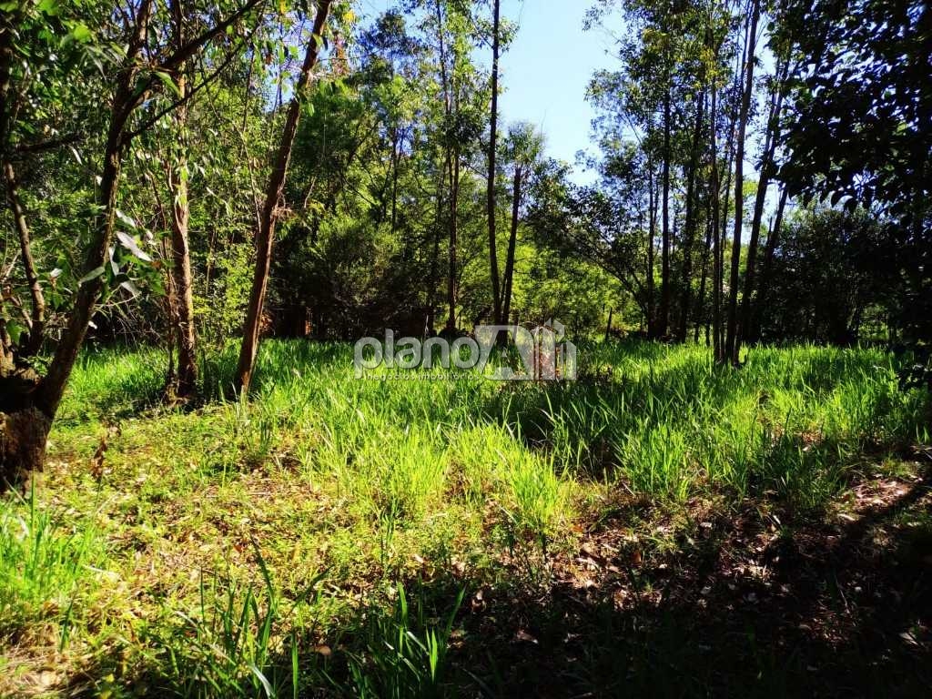 Locação de Terreno / Comercial na cidade de Gravataí