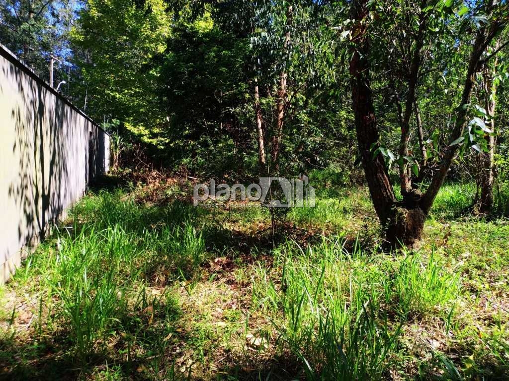 Locação de Terreno / Comercial na cidade de Gravataí