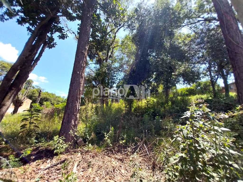 Locação de Comercial / Terreno na cidade de Gravataí