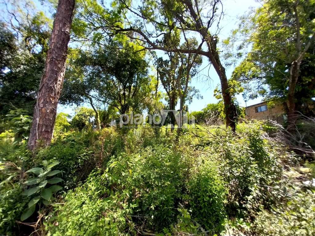 Locação de Comercial / Terreno na cidade de Gravataí