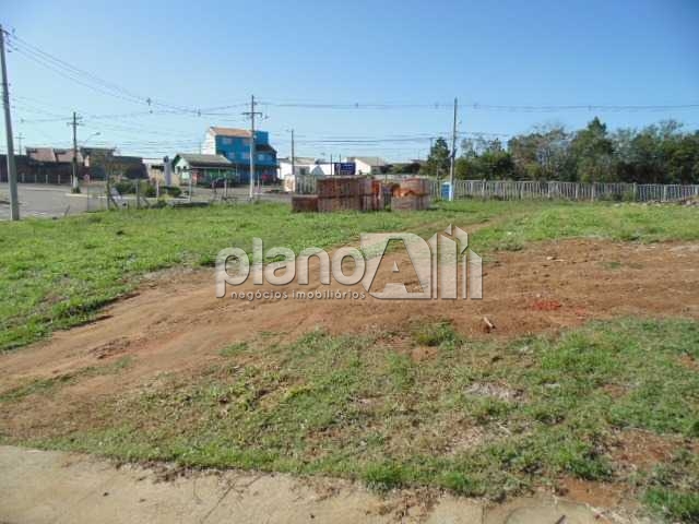 Venda de terreno / padrão na cidade de gravataí