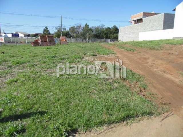 Venda de terreno / padrão na cidade de gravataí