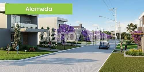 Venda de terreno / lote na cidade de cachoeirinha