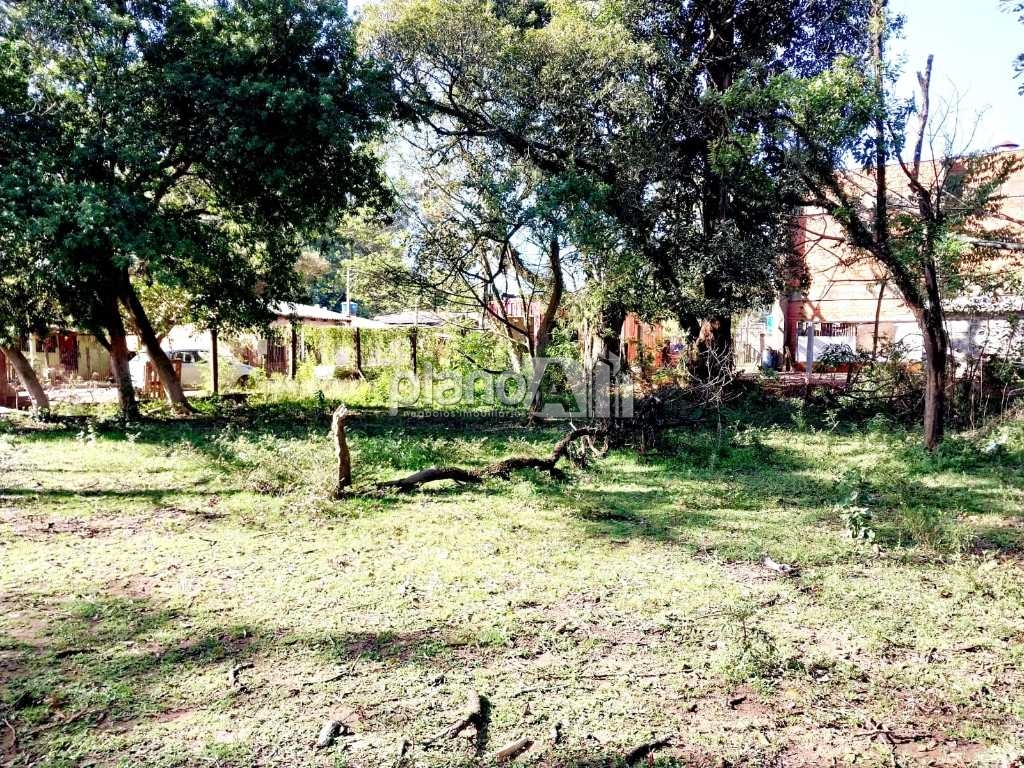 Venda de Terreno / Padrão na cidade de Gravataí