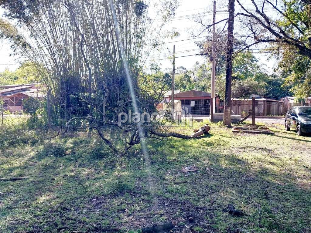 Venda de Terreno / Padrão na cidade de Gravataí