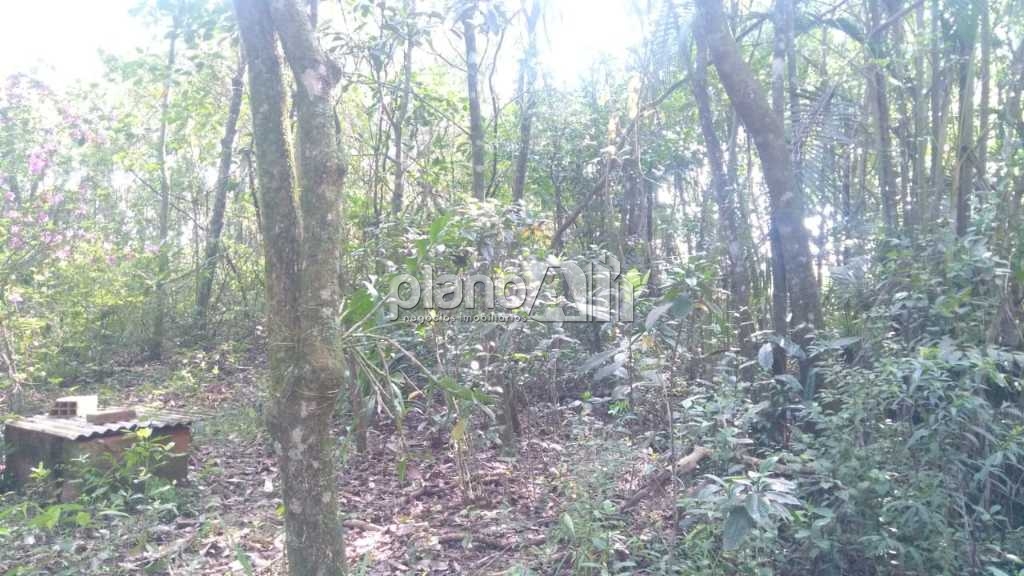 Terreno amplo à venda em Gravataí, no bairro Corcunda.