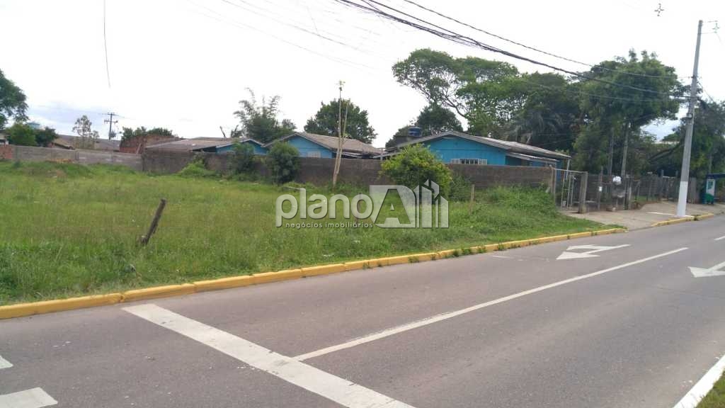 Venda de Terreno / Padrão na cidade de Gravataí