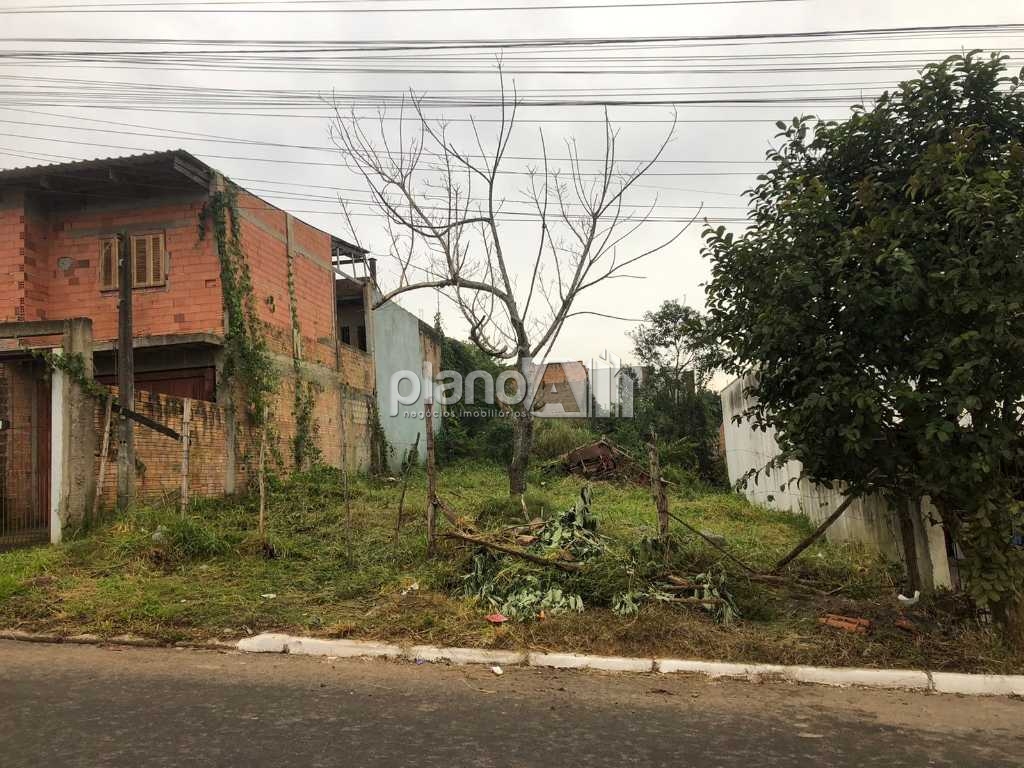 Venda de Terreno / Padrão na cidade de Gravataí