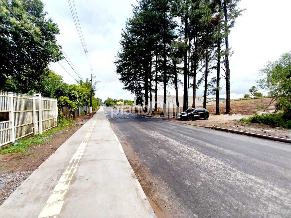 Venda de casas / padrão na cidade de gravataí - foto 15