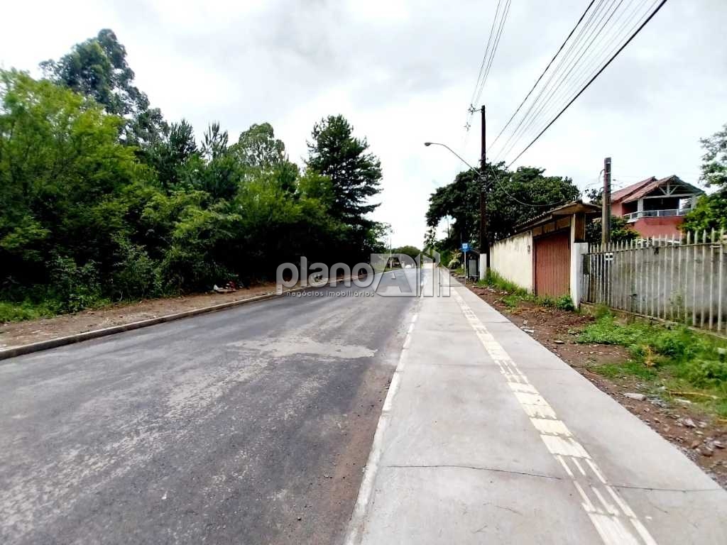 Venda de casas / padrão na cidade de gravataí - foto 14
