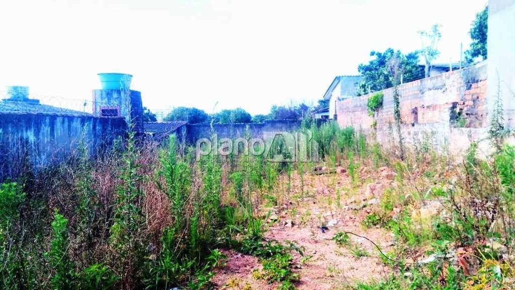 Venda de terreno / padrão na cidade de gravataí