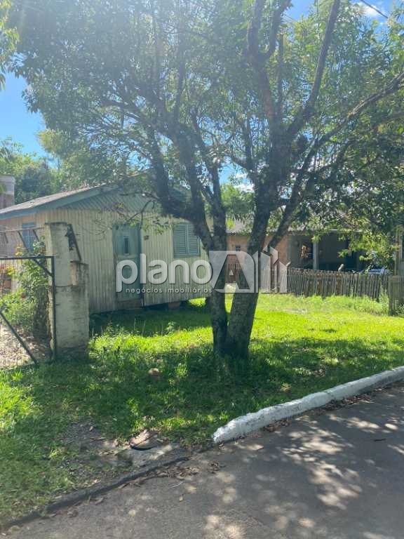 Terreno 12x25 no bairro jardim do cedro em gravataí - rs