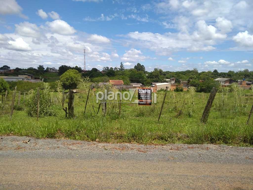 Venda de terreno / padrão na cidade de gravataí