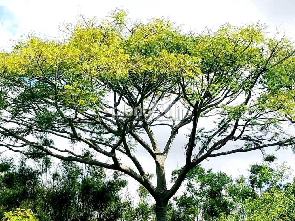 Venda de Rural / Área na cidade de Viamão