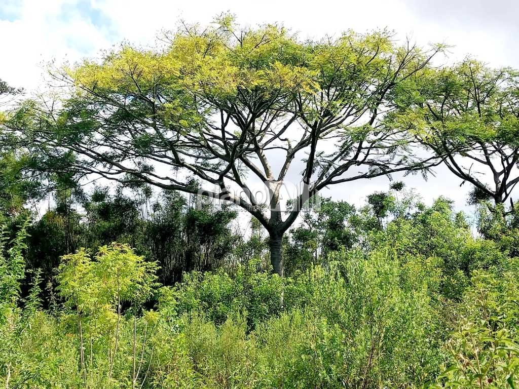Venda de Rural / Área na cidade de Viamão