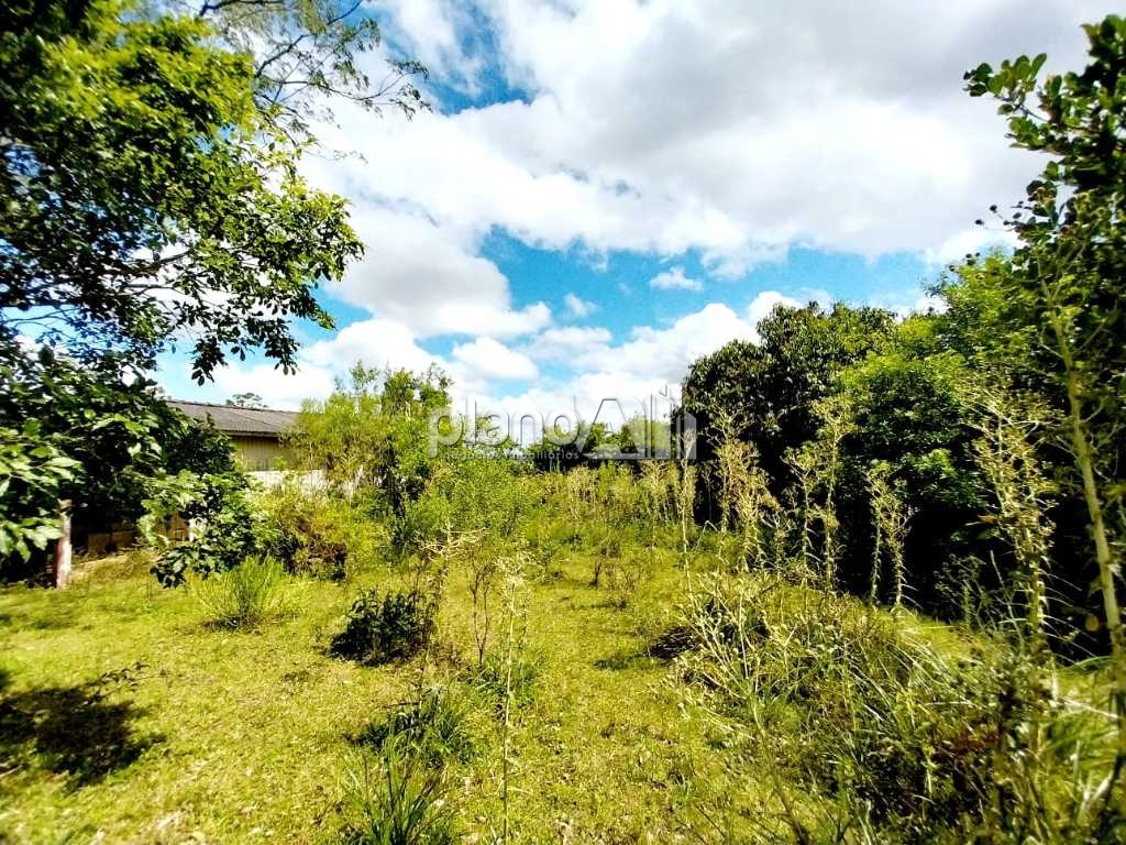 Venda de rural / área na cidade de viamão