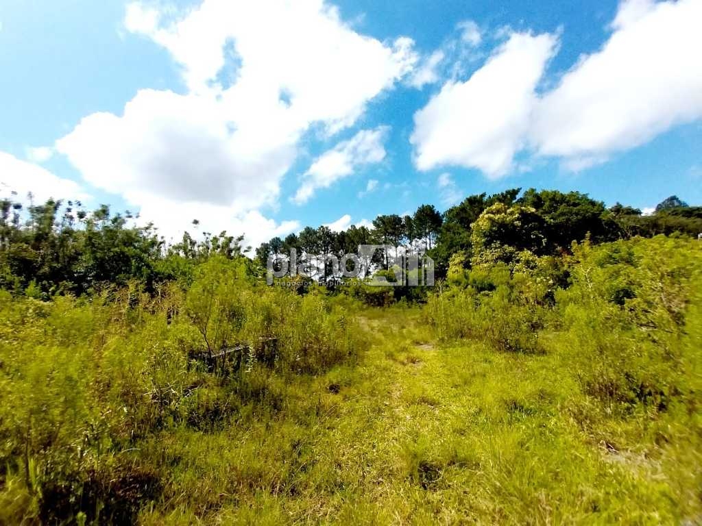 Venda de Rural / Área na cidade de Viamão