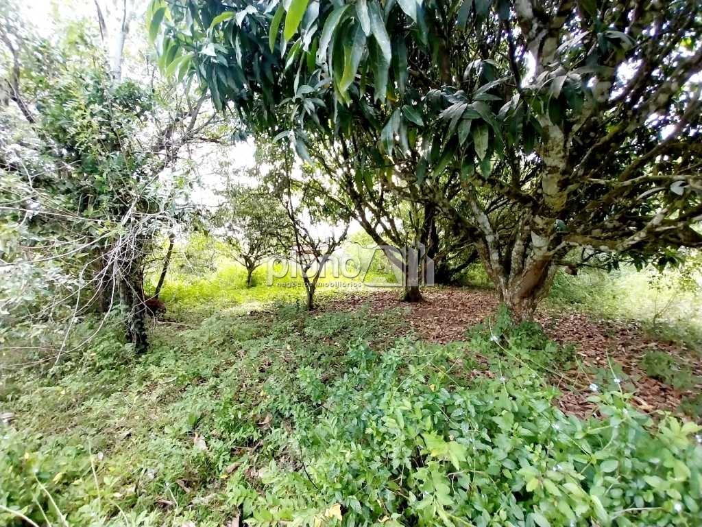 Venda de rural / área na cidade de viamão