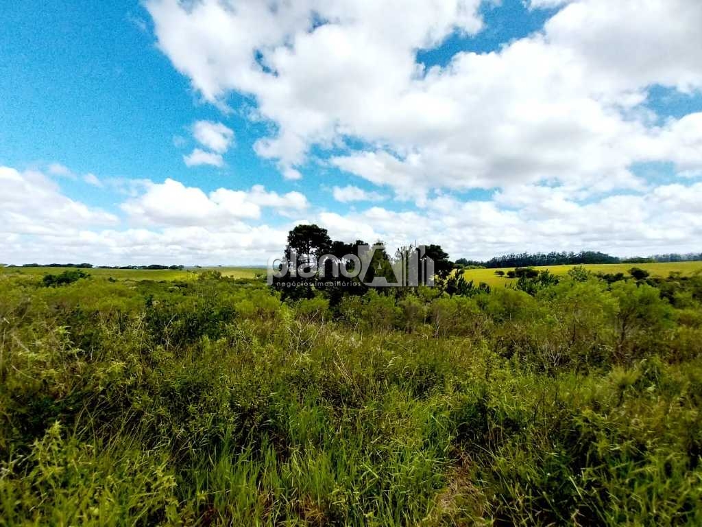 Venda de rural / área na cidade de viamão