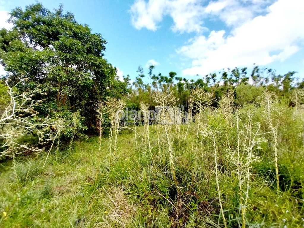 Venda de rural / área na cidade de viamão