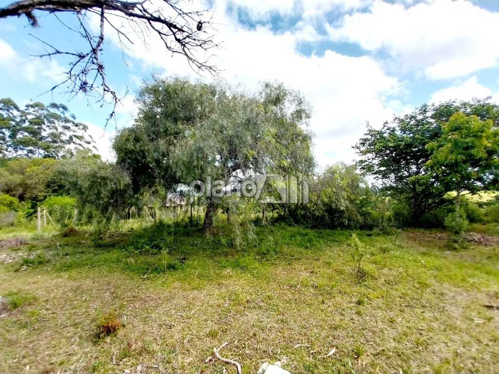 Venda de Rural / Área na cidade de Viamão