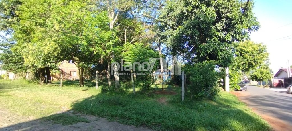 Venda de terreno / padrão na cidade de gravataí