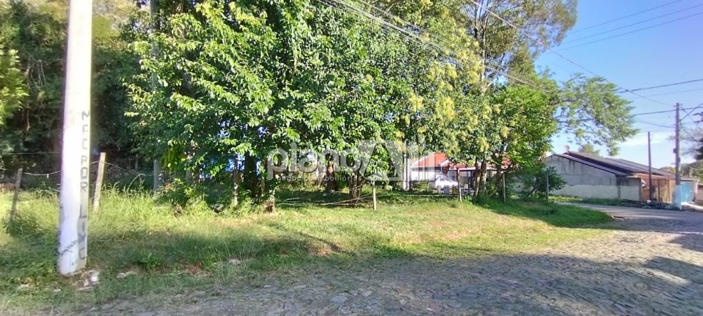 Venda de terreno / padrão na cidade de gravataí