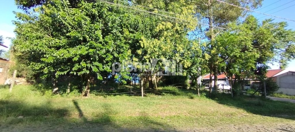 Venda de terreno / padrão na cidade de gravataí