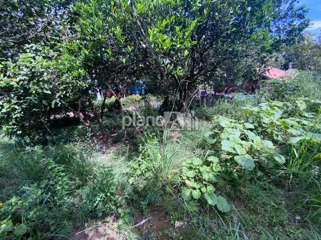 Venda de casas / padrão na cidade de gravataí