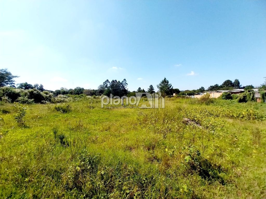 Venda de terreno / residencial na cidade de gravataí