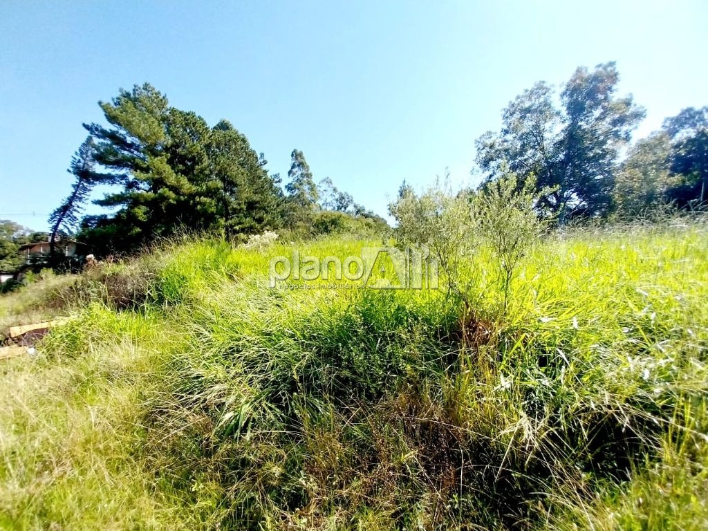 Venda de terreno / residencial na cidade de gravataí