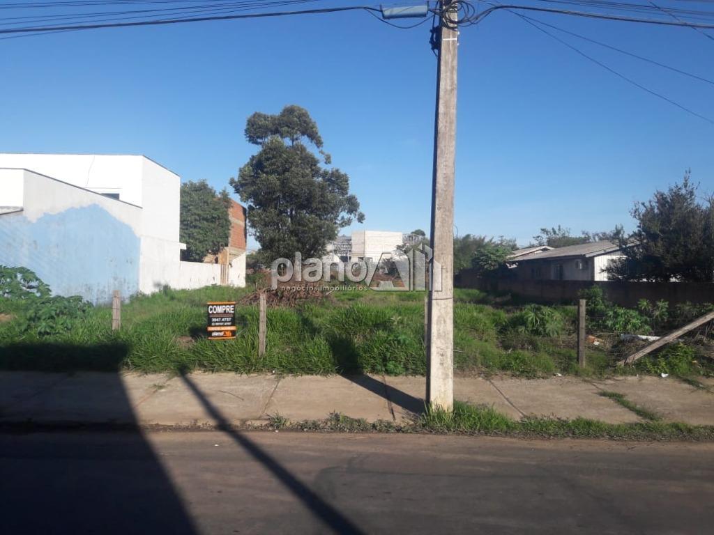 Venda de Terreno / Padrão na cidade de Cachoeirinha - foto 2