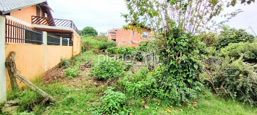 Venda de Terreno / Padrão na cidade de Gravataí