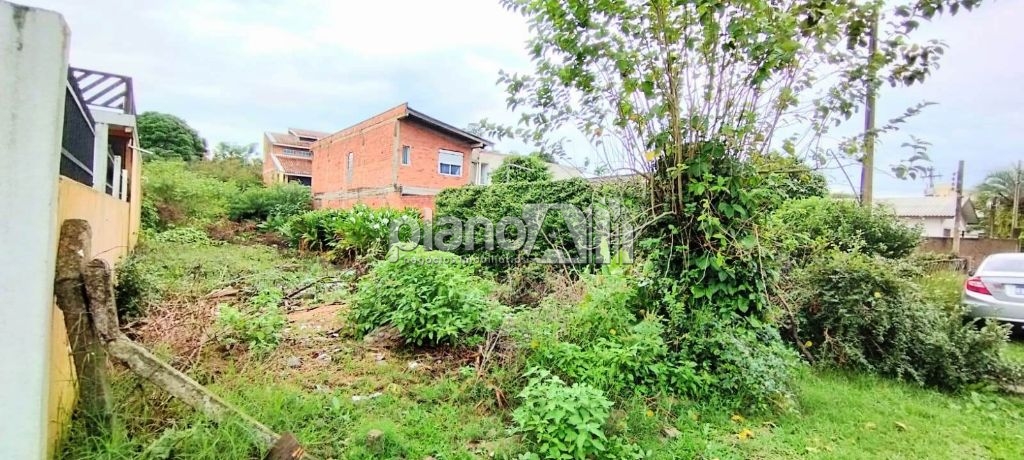 Venda de Terreno / Padrão na cidade de Gravataí
