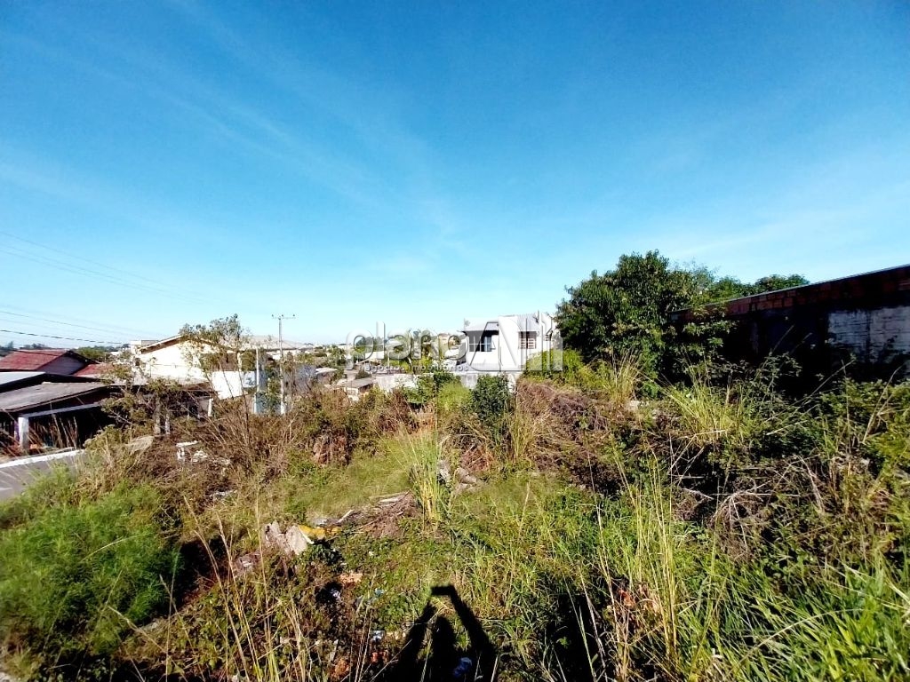 Venda de terreno / residencial na cidade de gravataí