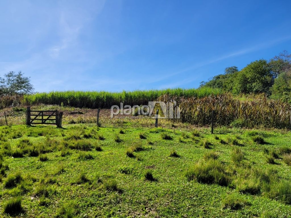 Venda de Rural / Sítio na cidade de Gravataí