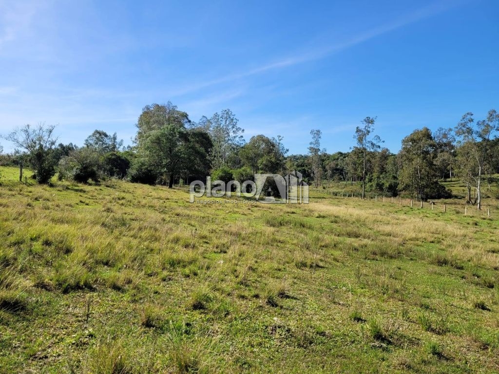Venda de Rural / Sítio na cidade de Gravataí