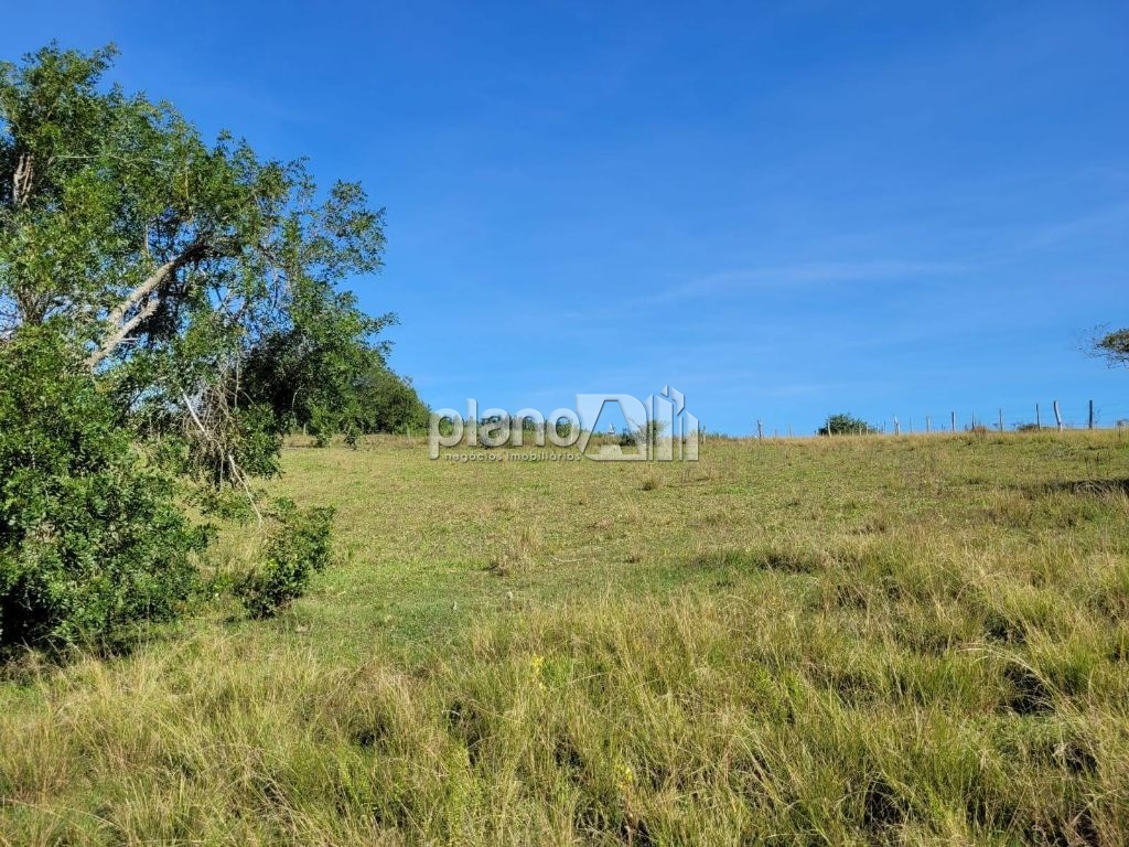Venda de Rural / Sítio na cidade de Gravataí