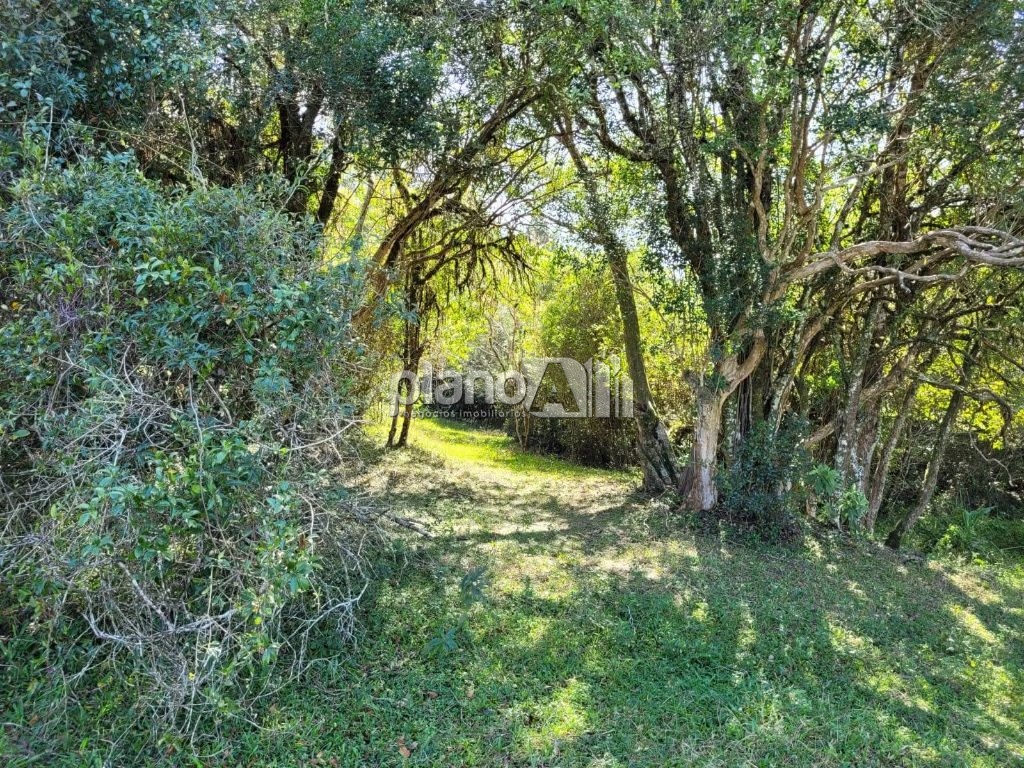 Venda de rural / sítio na cidade de gravataí