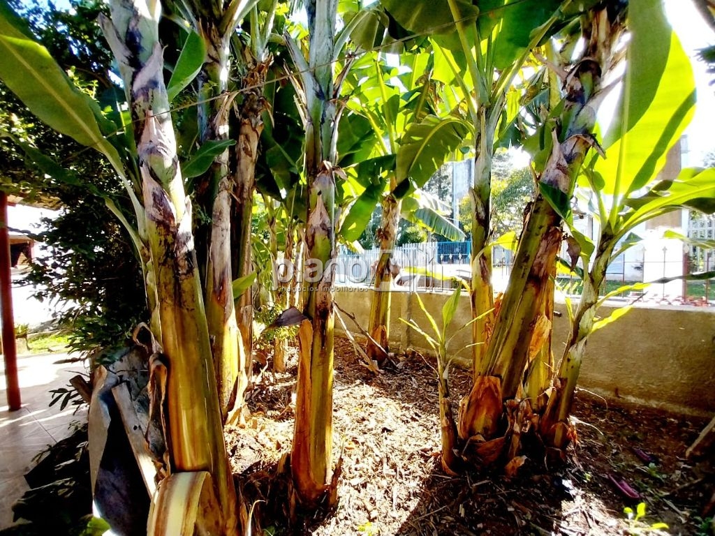 Venda de casas / padrão na cidade de gravataí