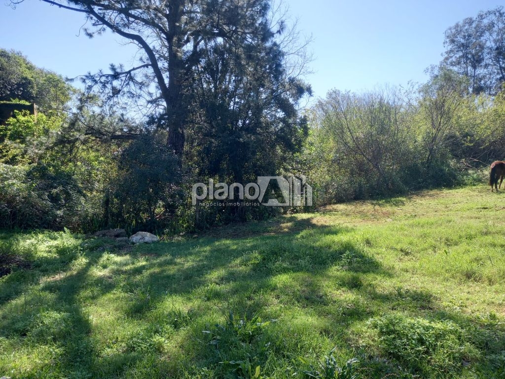 Venda de Terreno / Padrão na cidade de Gravataí