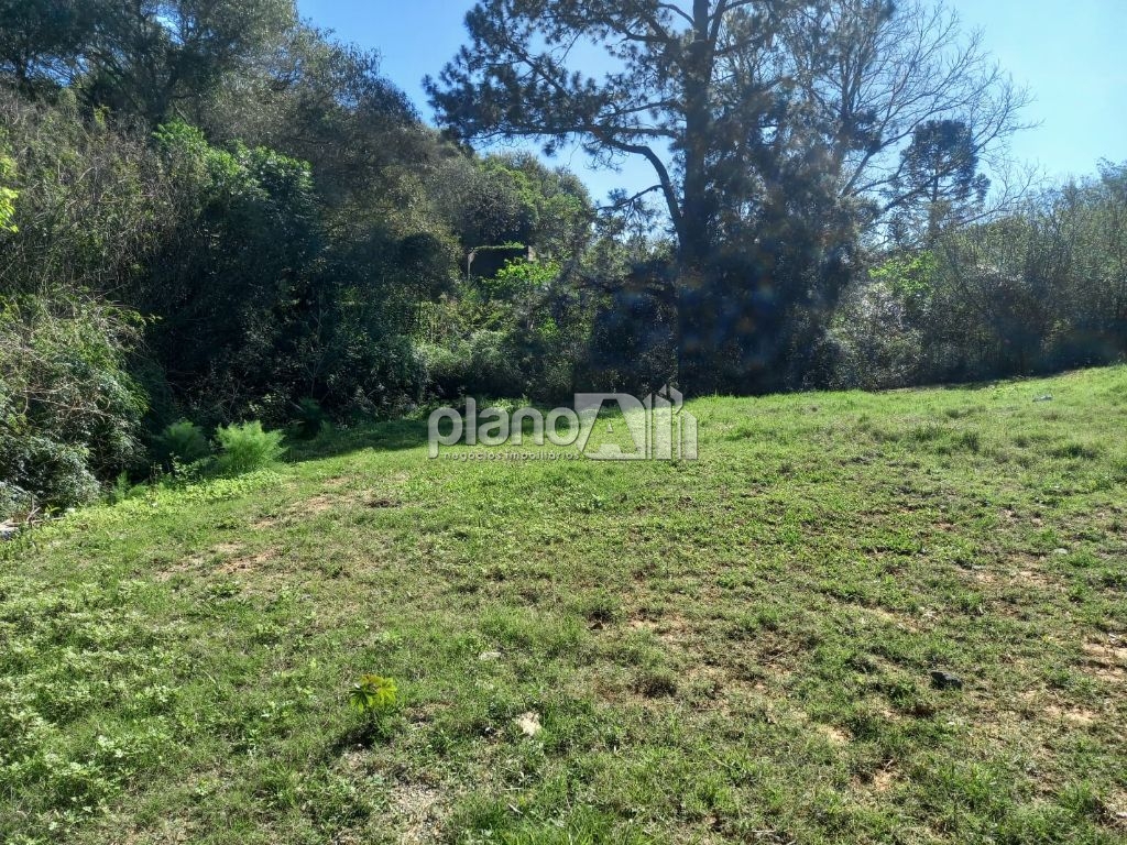 Venda de Terreno / Padrão na cidade de Gravataí