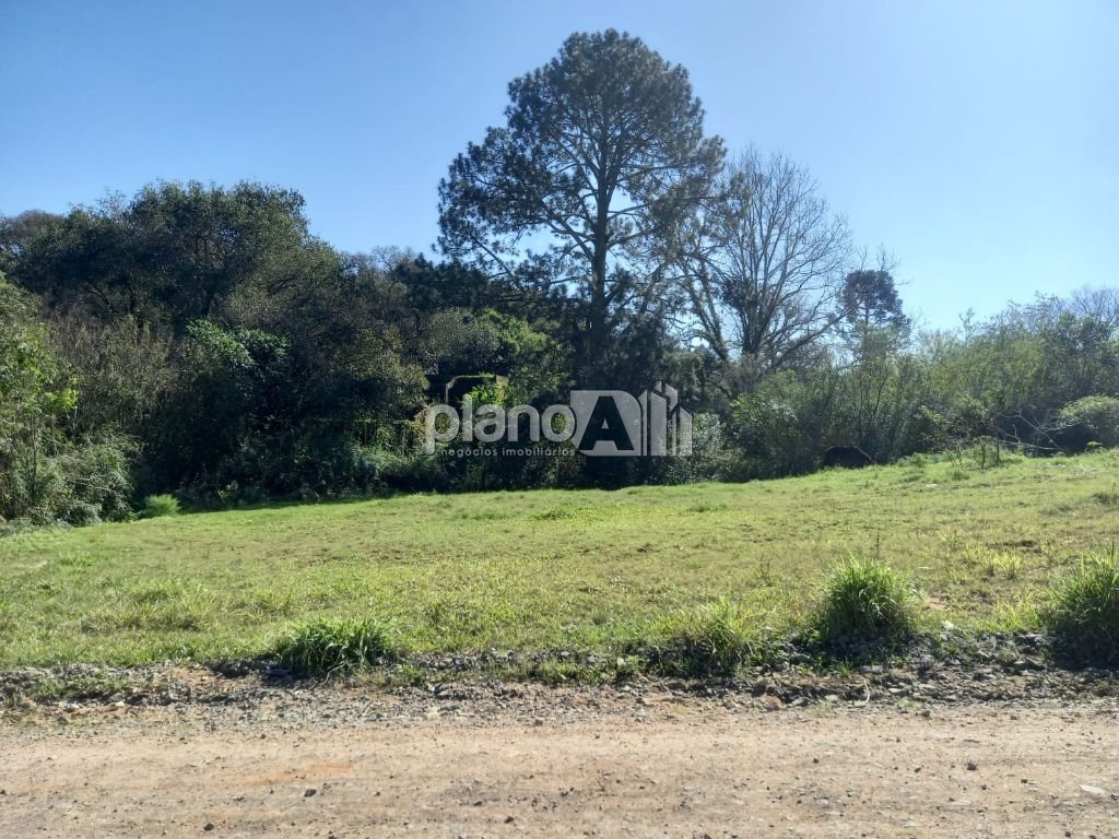 Venda de Terreno / Padrão na cidade de Gravataí