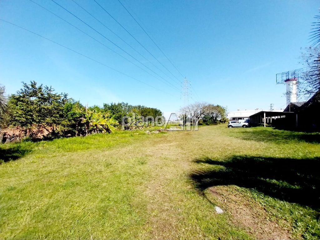 Venda de Rural / Sítio na cidade de Gravataí