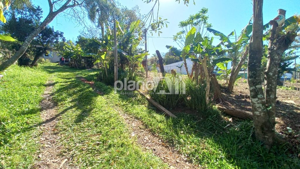 Venda de casas / padrão na cidade de gravataí