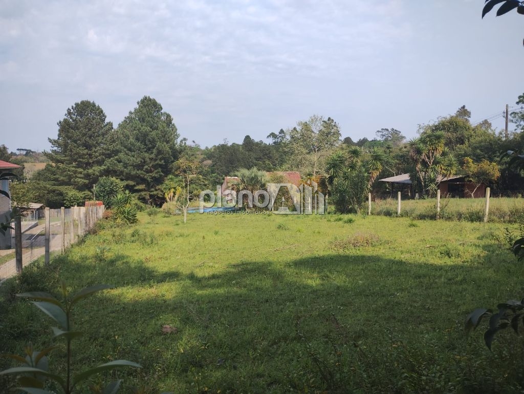 Venda de terreno / padrão na cidade de gravataí